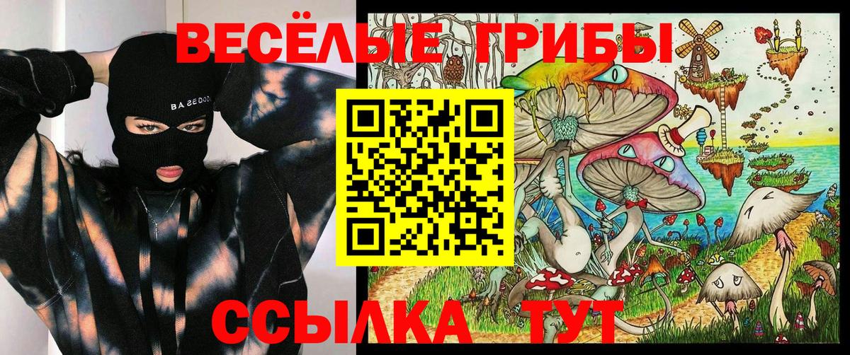 Псилоцибиновые грибы ЛСД Холмск
