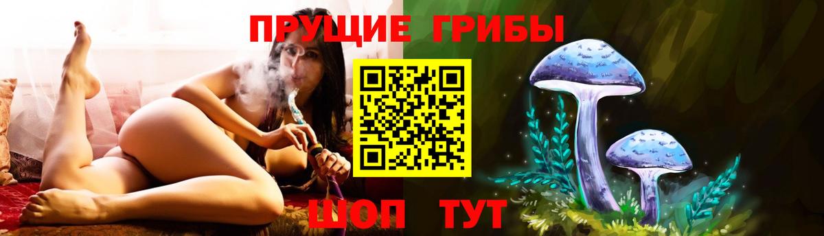 Галлюциногенные грибы мухоморы  продажа наркотиков  Холмск  Вход с VPN 